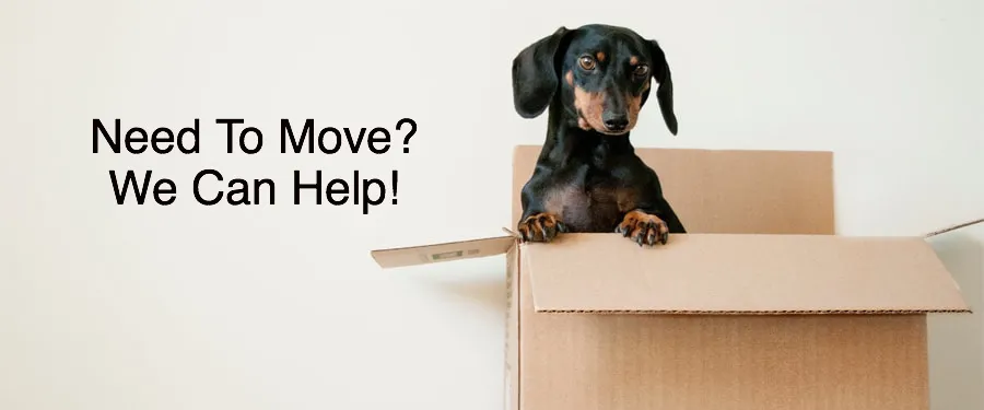 Pet Moving Services